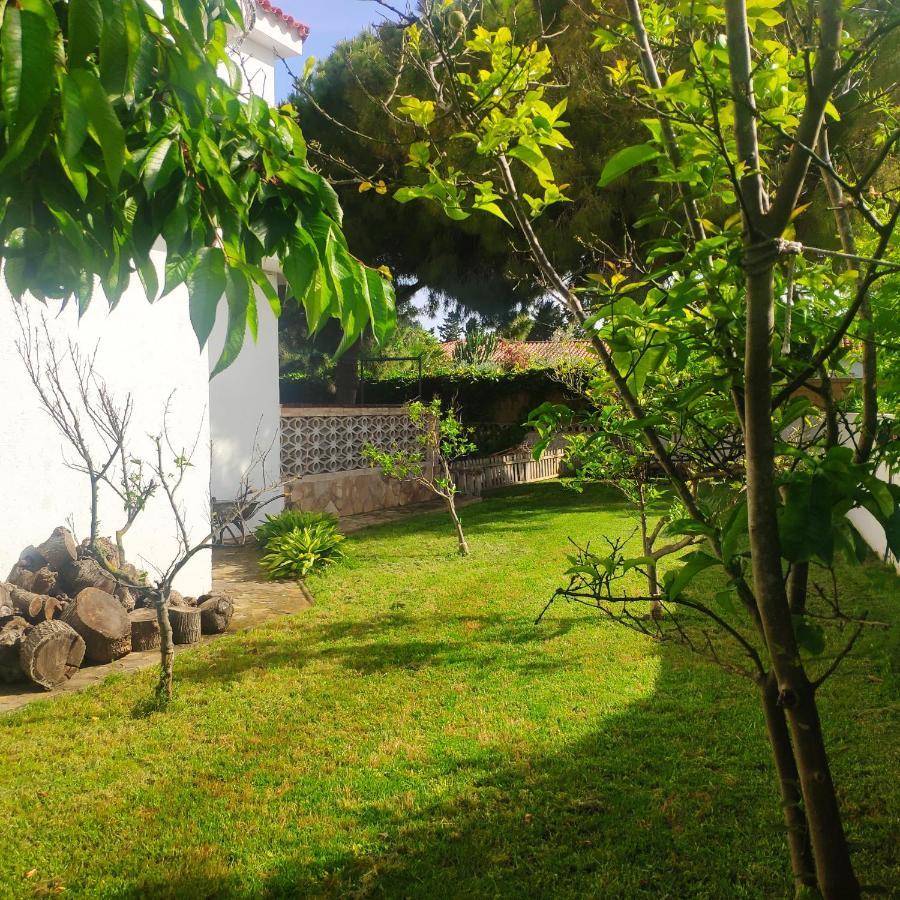 Cala Llanetes Villa Vinarós Eksteriør bilde